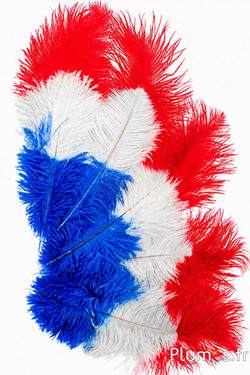 Struisvogel - 30-40 cm - blauw-wit-rood